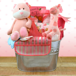 Baby Boy Gift Basket Baby ABC's 