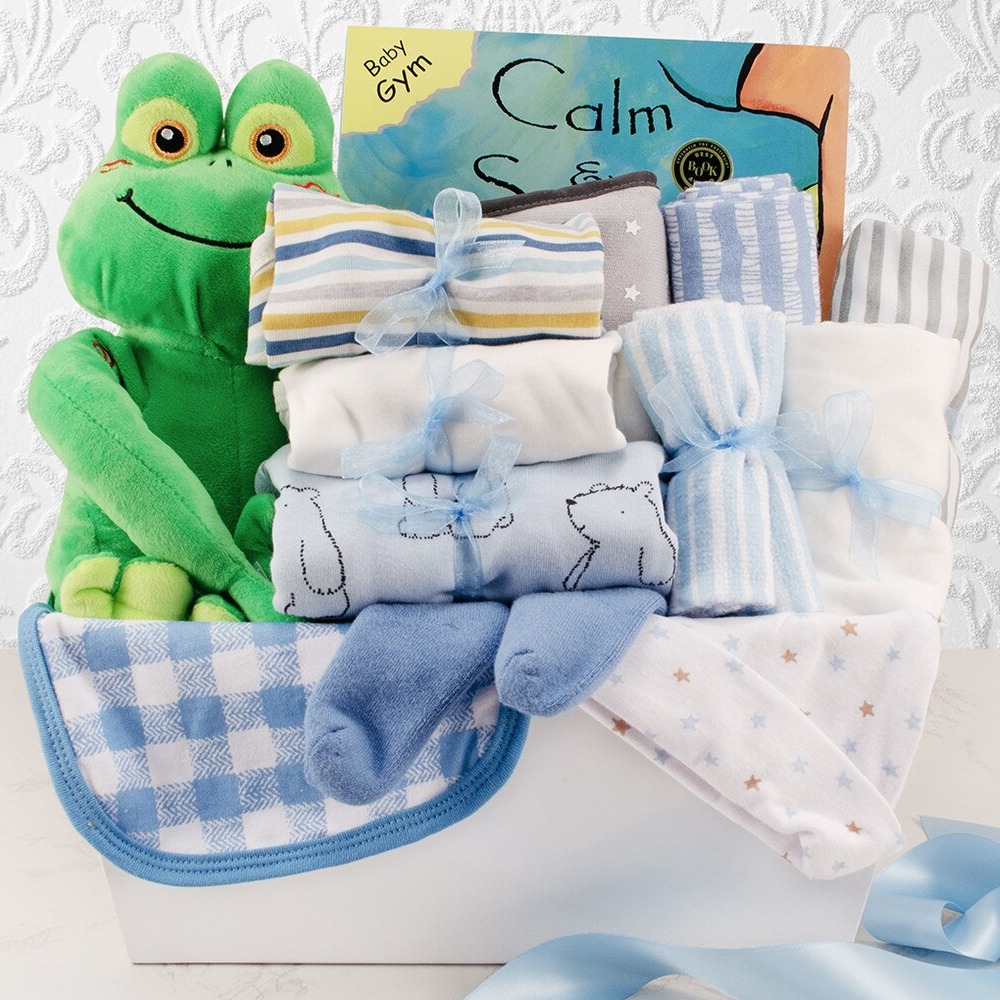 Sweet Beginnings: Baby Boy Gift Basket