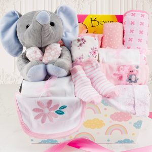 Dream Girl: Baby Girl Gift Basket